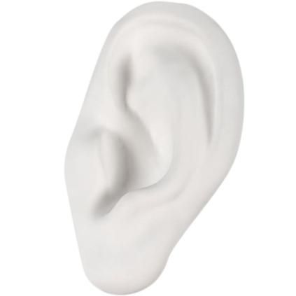 Porcelánové ucho MEMORABILIA MVSEVM 24,5 cm, bílá, Seletti
