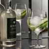 541008 gin glass