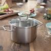 Hrnec VISEO 24 cm, Fissler