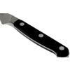 Steakový nůž PRO 12 cm, ZWILLING