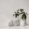 Váza CEOLA 18 cm, bílá, Blomus