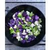 Bio směs koření CABBAGE KARMA 50 g, Mill & Mortar