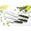 AMBIANCE IDEAL NOIR RIVET LAITON LS (1)