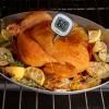 OXO11181400 4