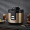 Rýžovar COPPERTINTO RK364G10 2 l, měděná, Tefal