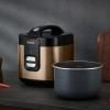 Rýžovar COPPERTINTO RK364G10 2 l, měděná, Tefal