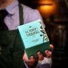 Zelený čaj GREEN LEMON & GINGER, 10 čajových sáčků, A.C. Perch's Thehandel
