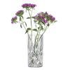 Váza NOBLESSE 23 cm, sklo, Nachtmann